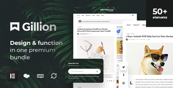 Gillion Blog multi concept Magazine et Shop WordPress Thème